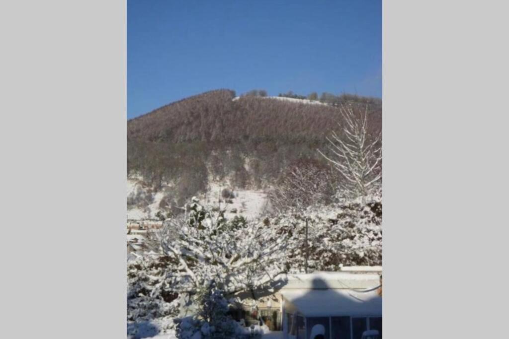 Garden Suburbs Cottage Crosskeys エクステリア 写真